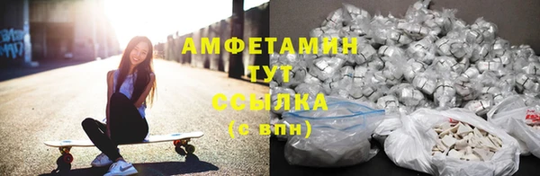 спиды Богородицк