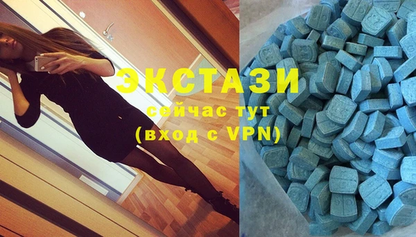 спиды Богородицк