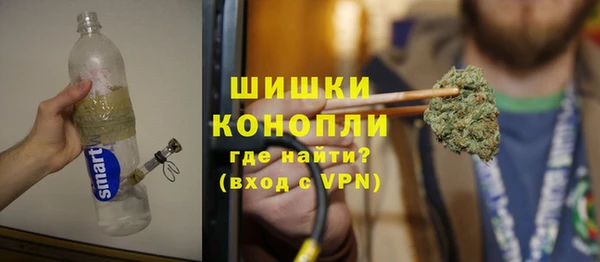 спиды Богородицк