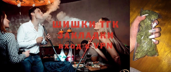 спиды Богородицк