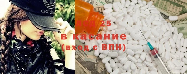 спиды Богородицк