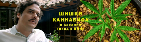 спиды Богородицк