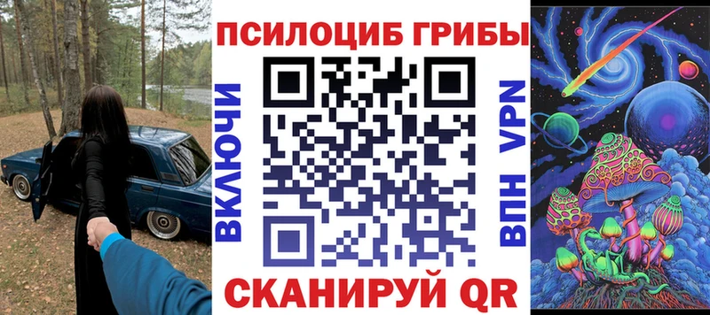 купить наркотик  Сыктывкар  Галлюциногенные грибы Psilocybine cubensis 