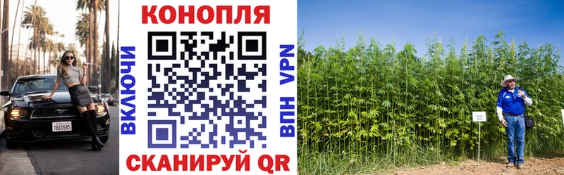 Конопля план  hydra сайт  Сыктывкар  наркошоп 